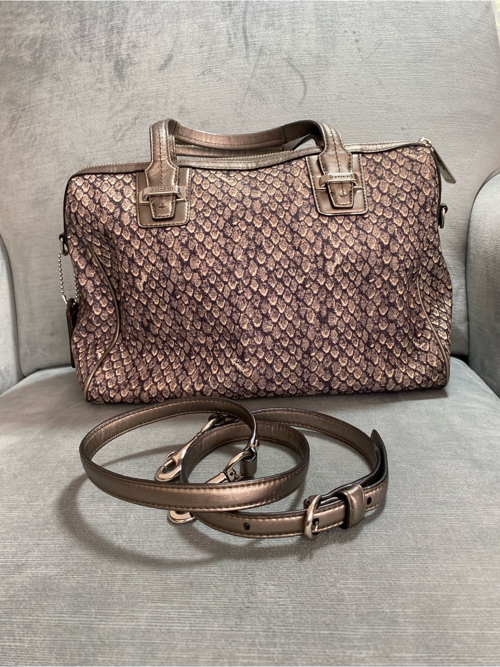 Coach Taylor Python Print Metallic Bronze Python-Print Crossbody Satchel F26037